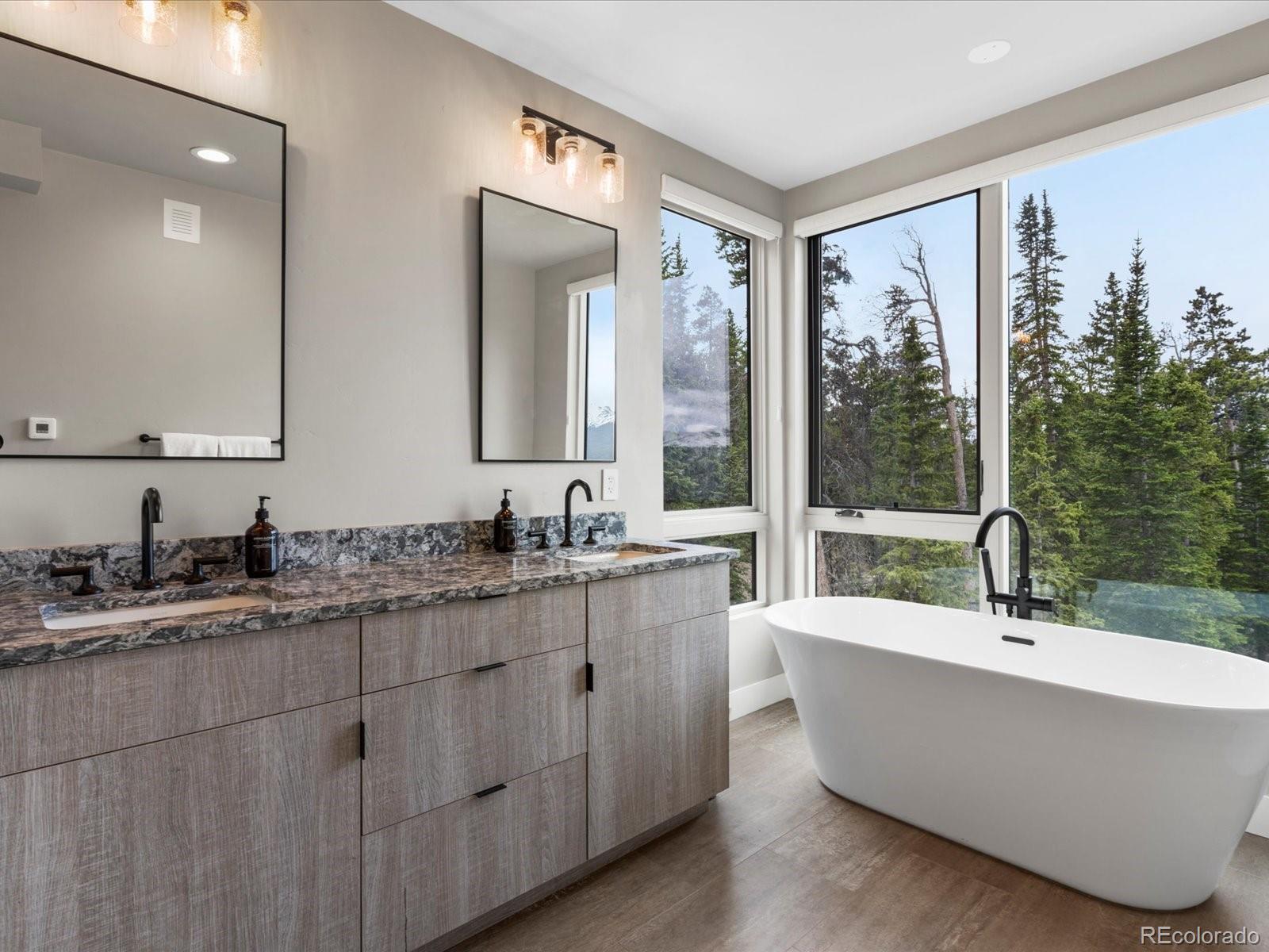 MLS Image #34 for 436 n fuller placer road,breckenridge, Colorado