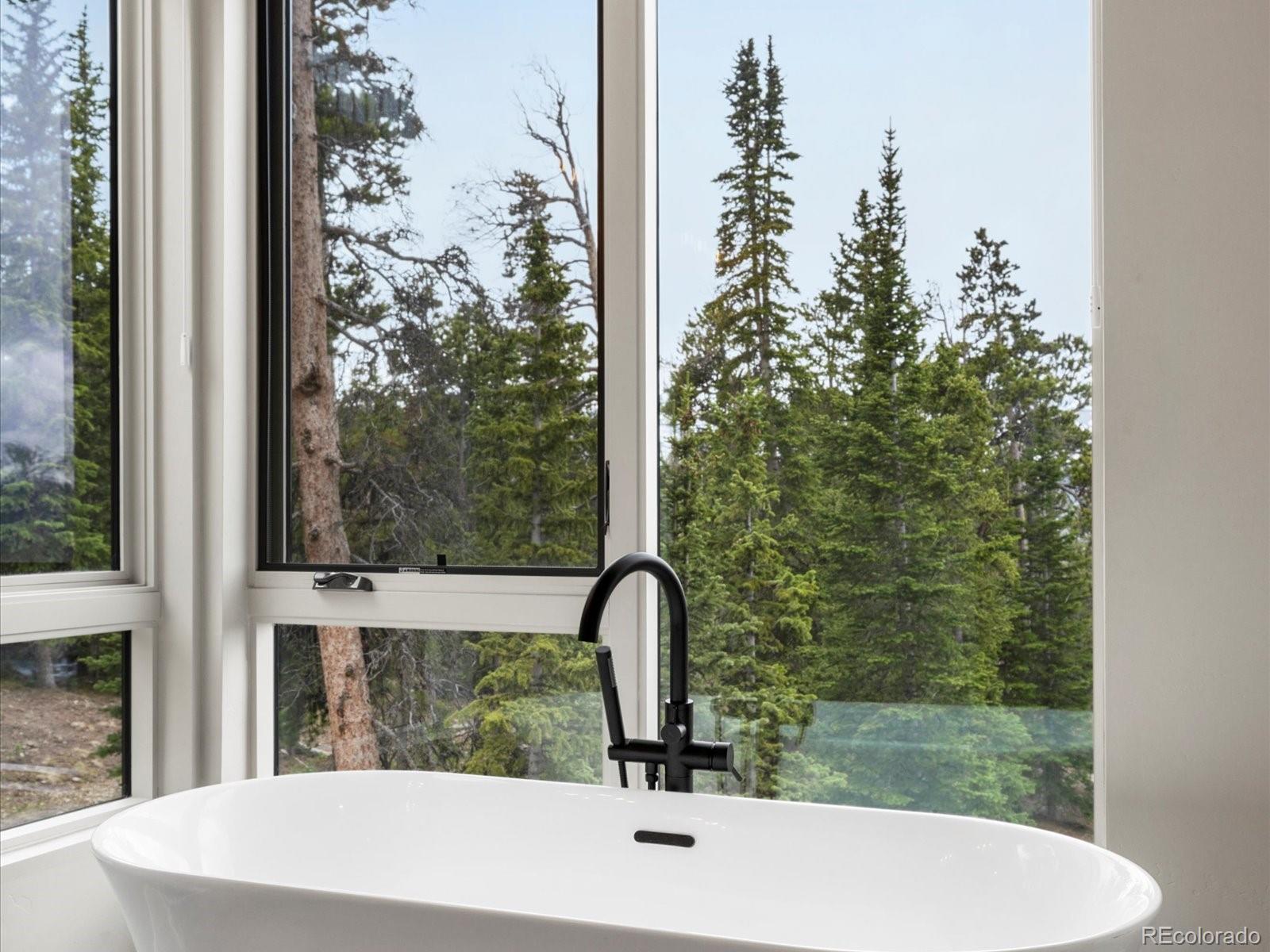 MLS Image #36 for 436 n fuller placer road,breckenridge, Colorado