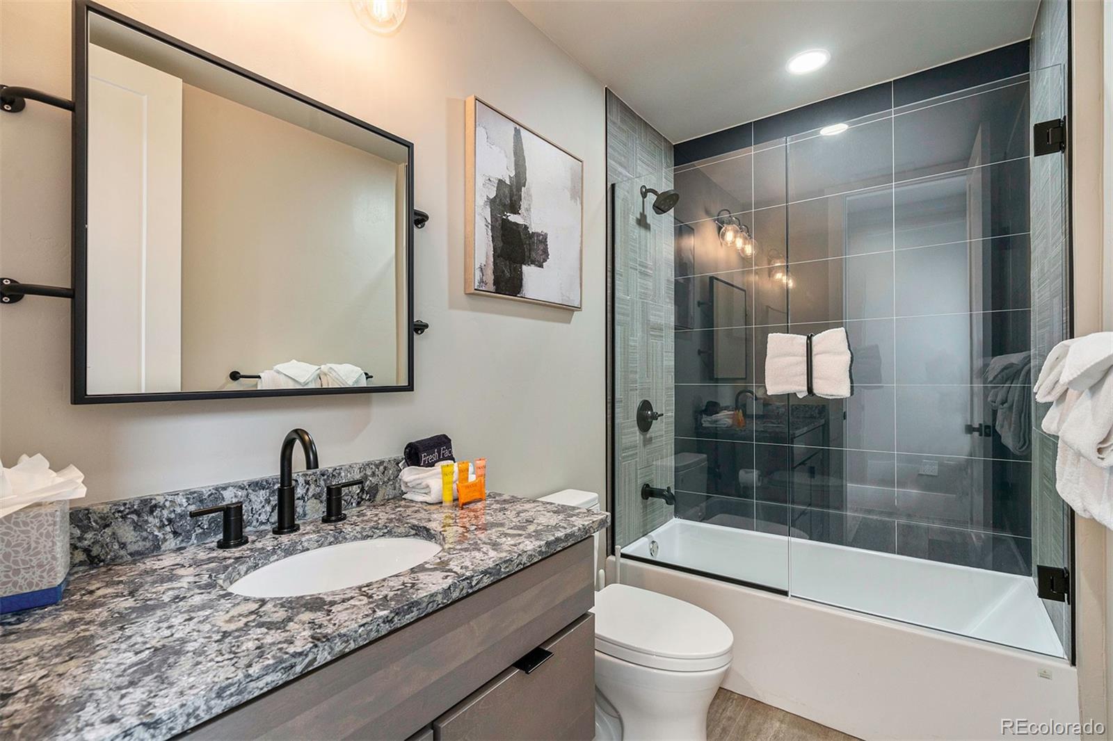 MLS Image #5 for 436 n fuller placer road,breckenridge, Colorado