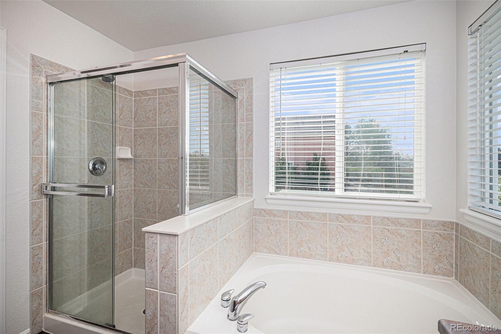 MLS Image #22 for 5479  lost meadow trail,castle rock, Colorado