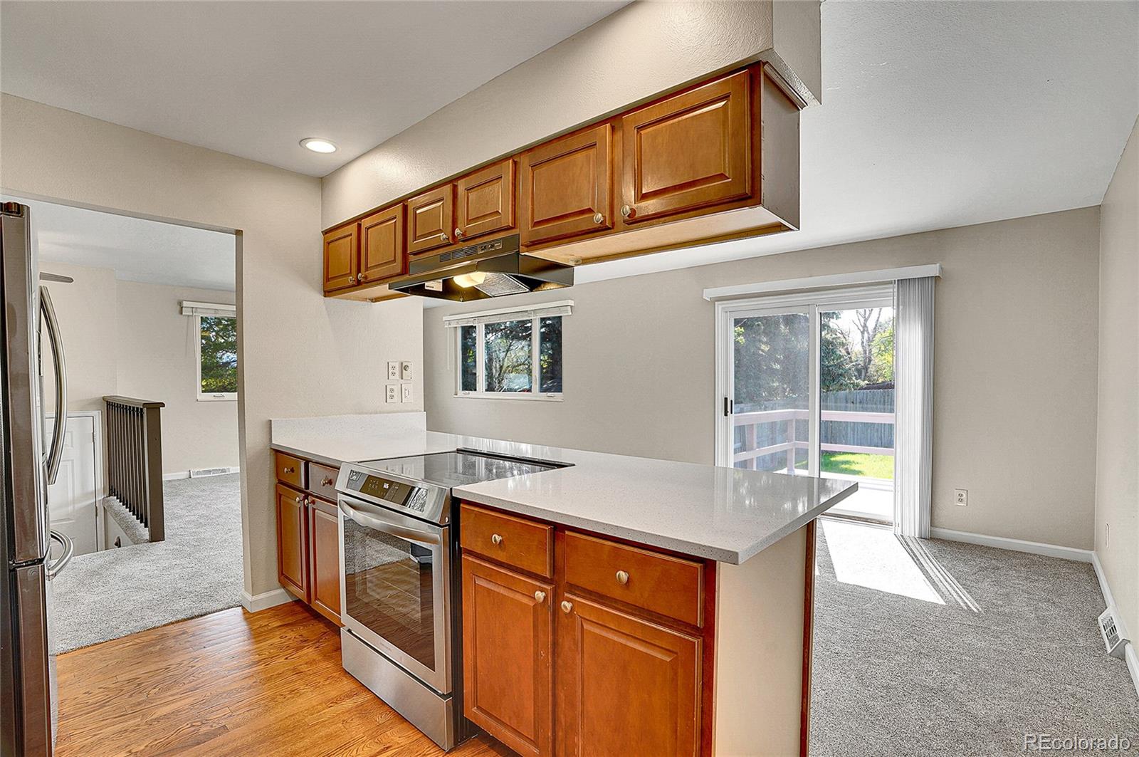 MLS Image #17 for 9099 w harvard place,lakewood, Colorado