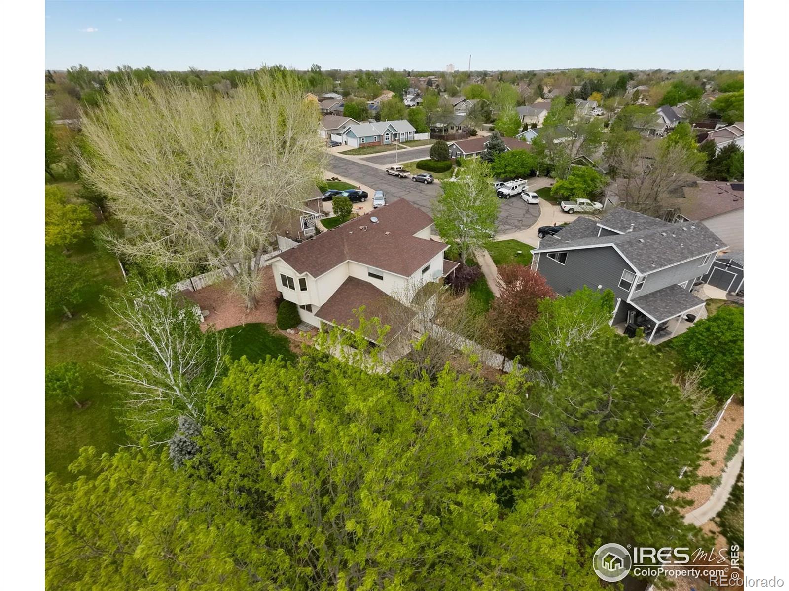MLS Image #4 for 1108  basin court,windsor, Colorado