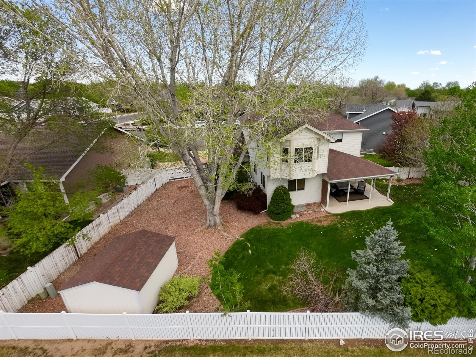 MLS Image #5 for 1108  basin court,windsor, Colorado