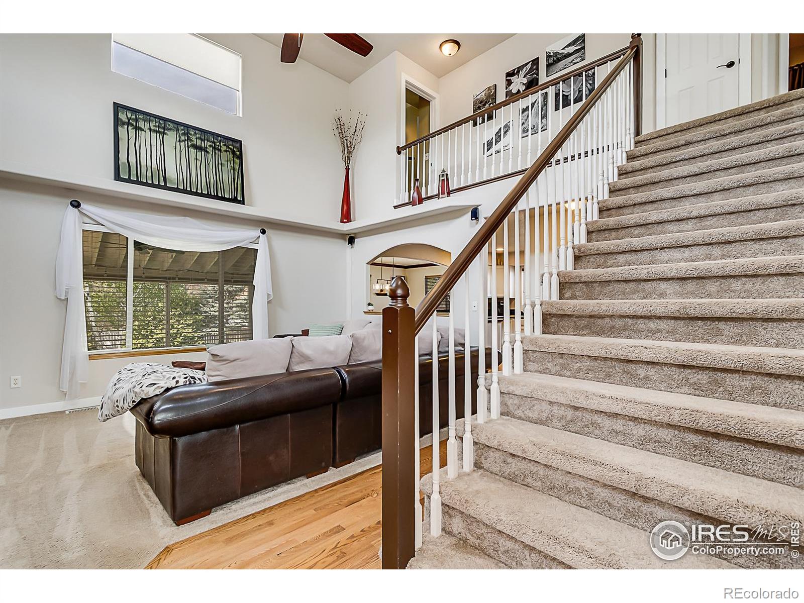 MLS Image #8 for 1108  basin court,windsor, Colorado