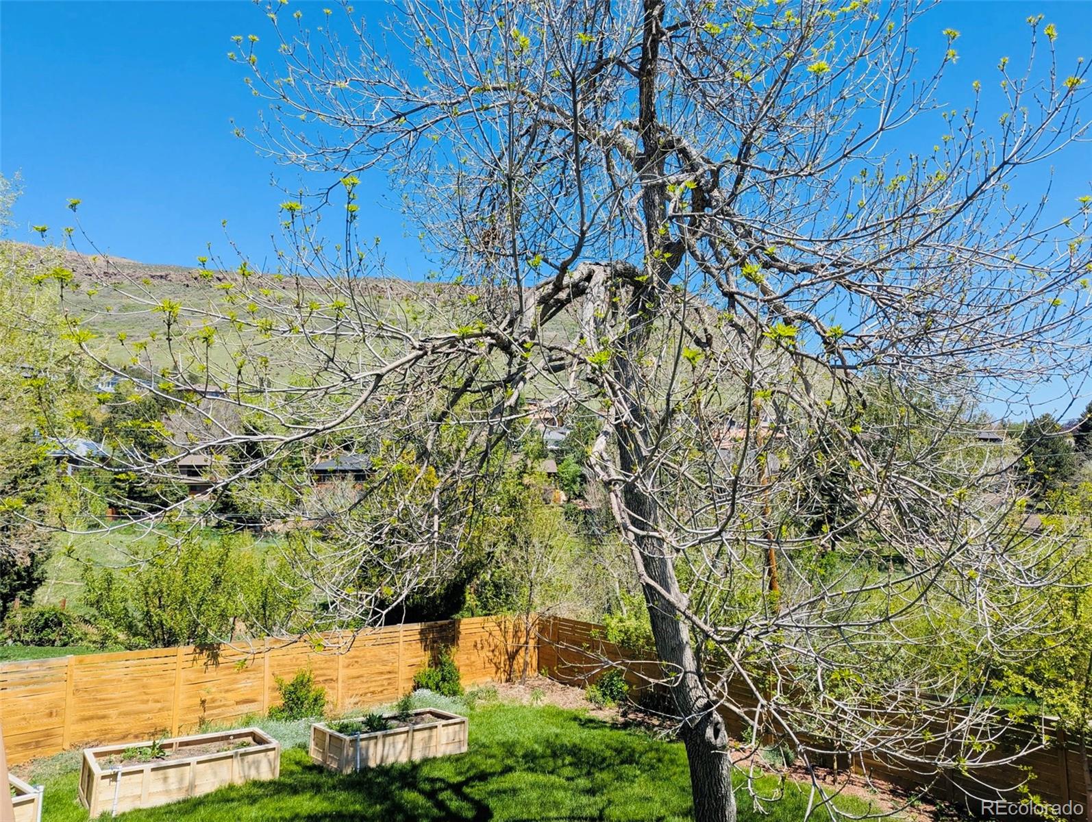 MLS Image #2 for 207  iowa drive,golden, Colorado