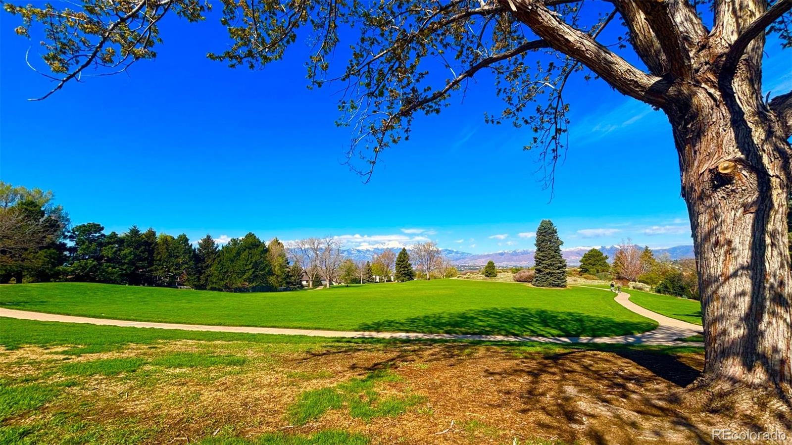 MLS Image #14 for 5125  thistle court,colorado springs, Colorado