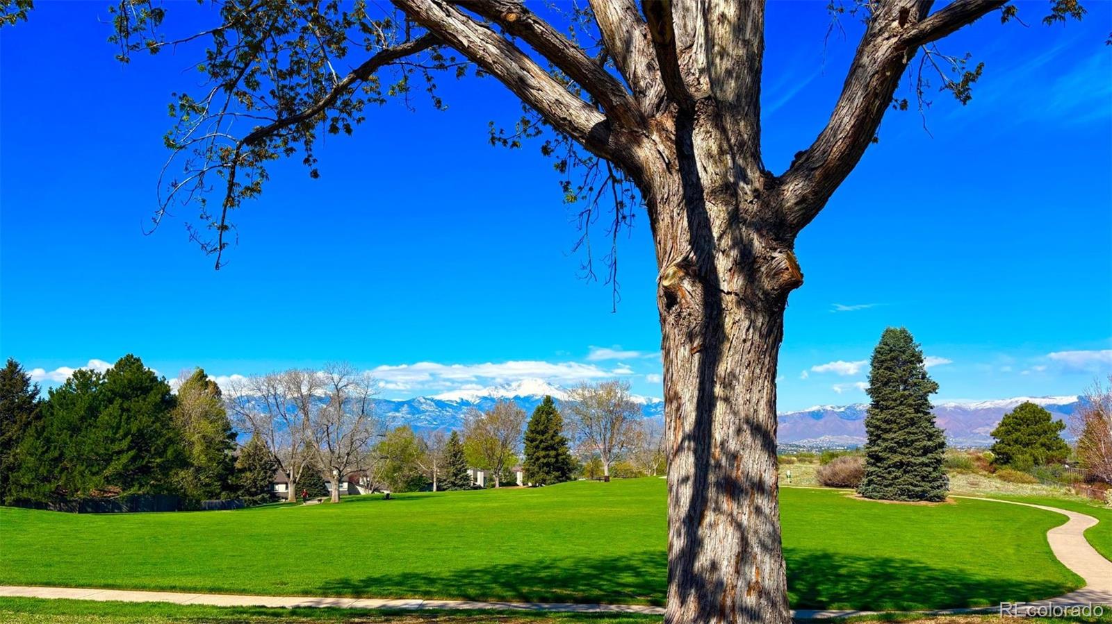 MLS Image #40 for 5125  thistle court,colorado springs, Colorado