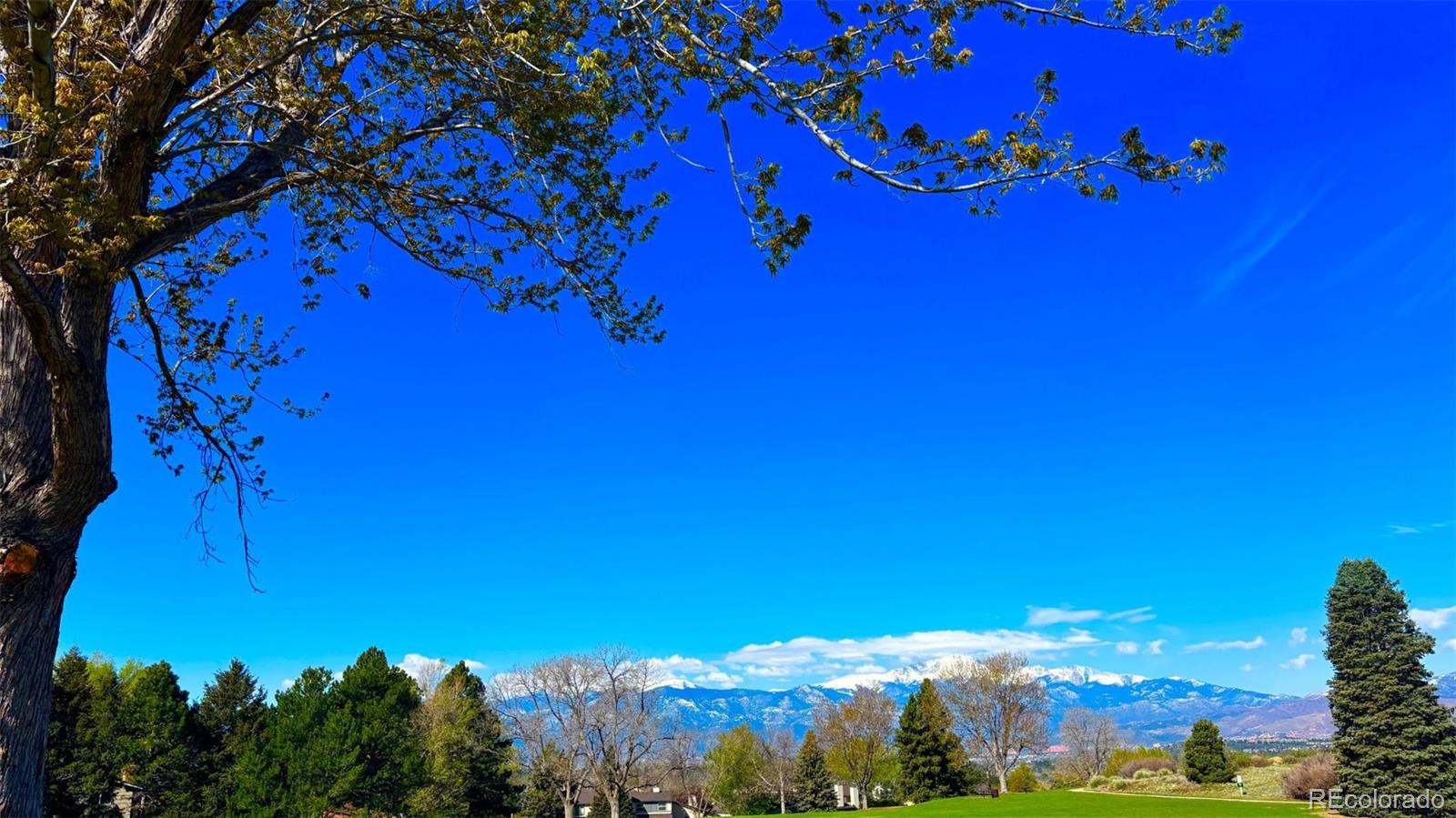 MLS Image #41 for 5125  thistle court,colorado springs, Colorado