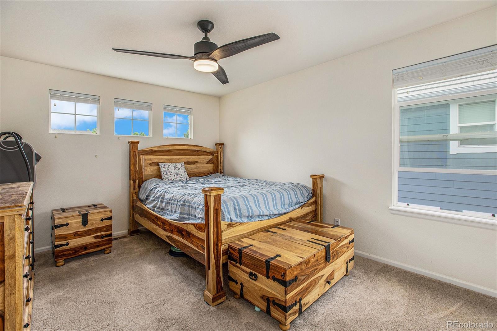MLS Image #23 for 11973  song bird hills street,parker, Colorado