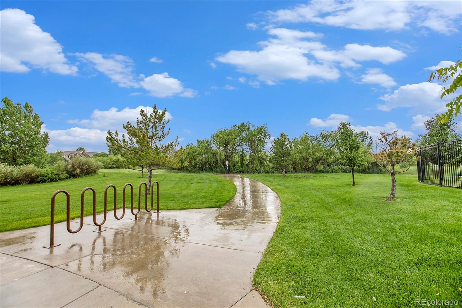 MLS Image #30 for 11973  song bird hills street,parker, Colorado
