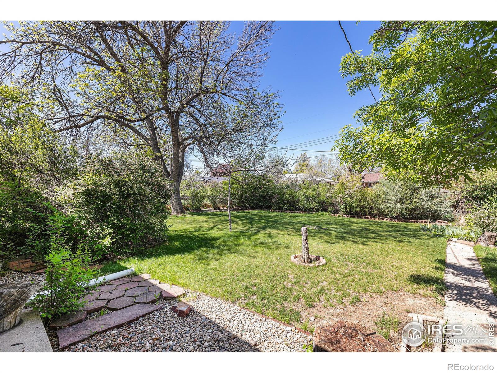 MLS Image #24 for 1207 s tyler avenue,loveland, Colorado
