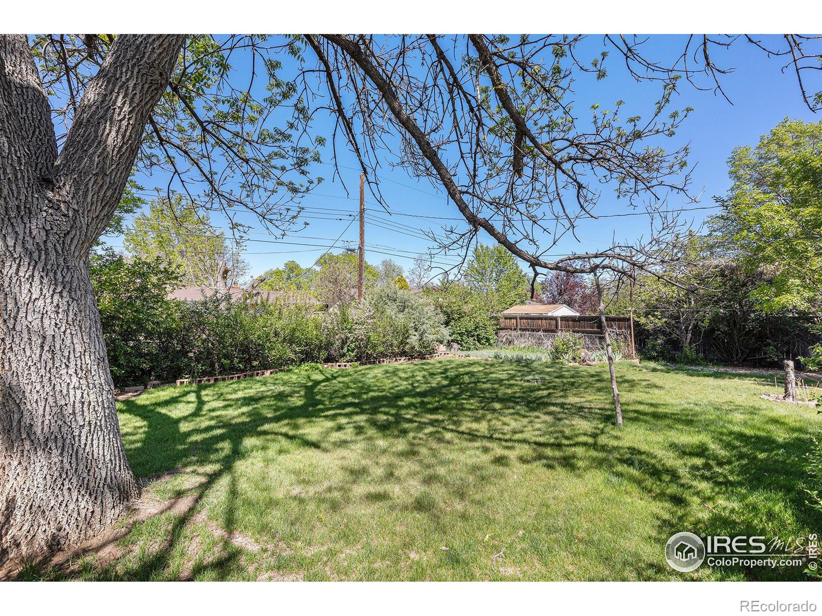 MLS Image #26 for 1207 s tyler avenue,loveland, Colorado