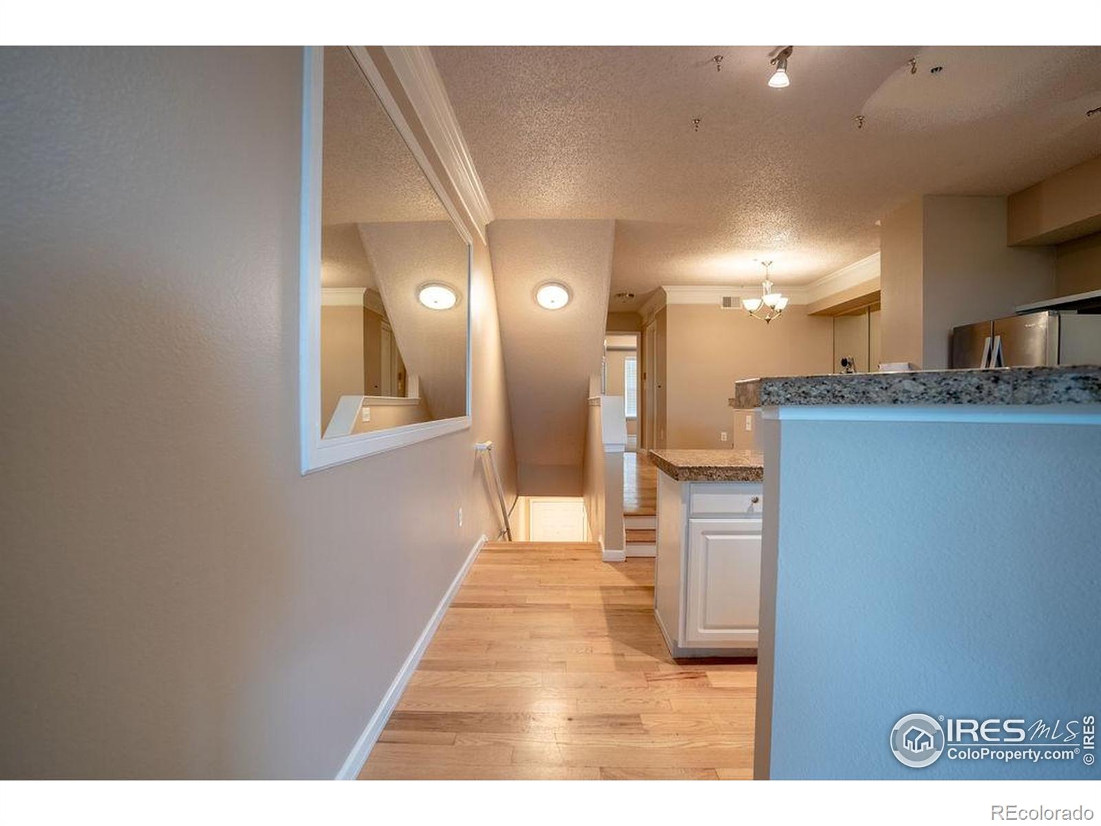 MLS Image #16 for 2092 n concord lane,superior, Colorado