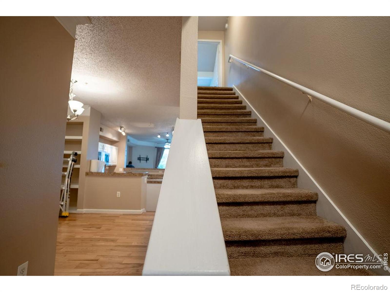 MLS Image #22 for 2092 n concord lane,superior, Colorado