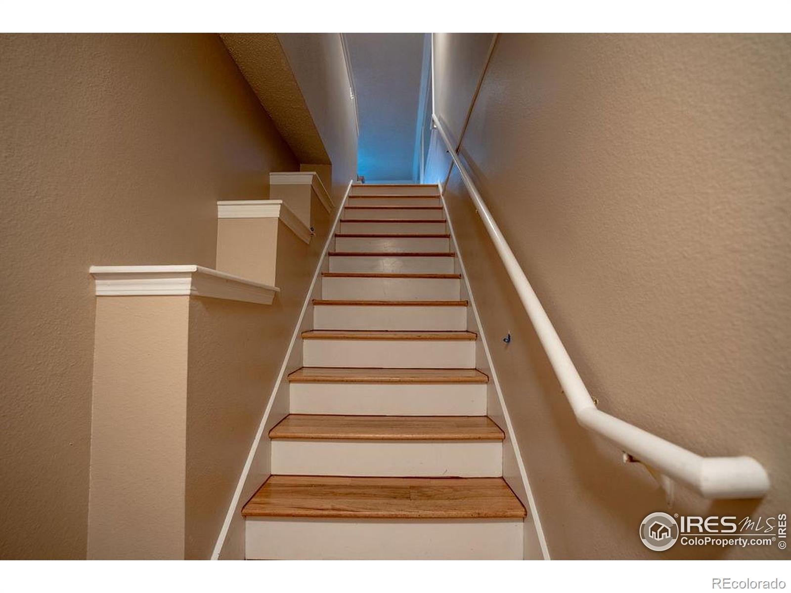 MLS Image #3 for 2092 n concord lane,superior, Colorado
