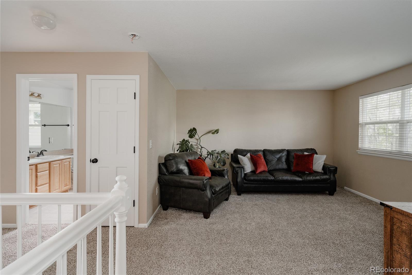 MLS Image #27 for 11538  hudson street,thornton, Colorado