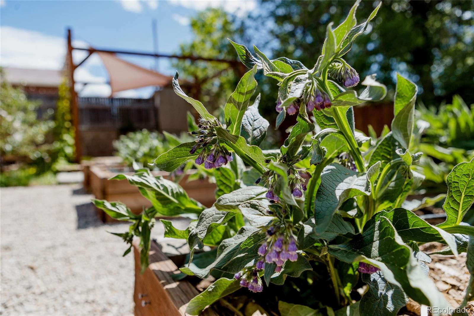 MLS Image #24 for 1695 s beach court,denver, Colorado