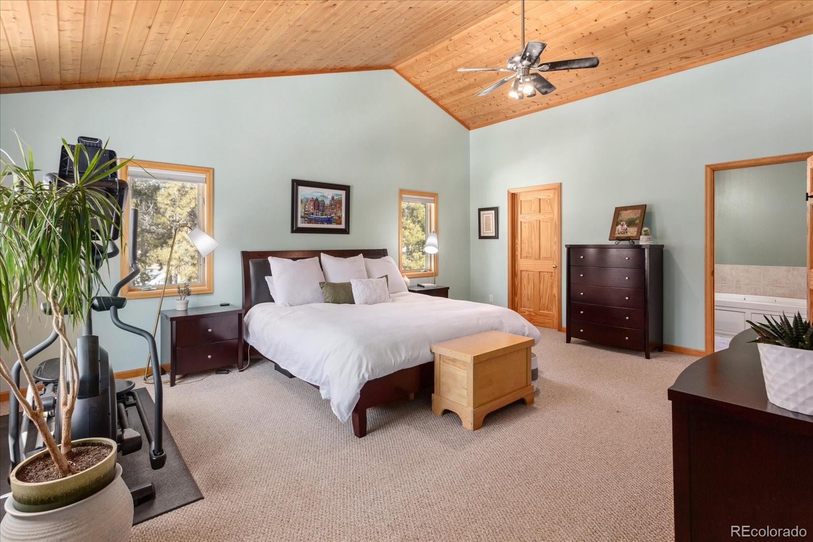 MLS Image #29 for 344  baby doe drive,leadville, Colorado