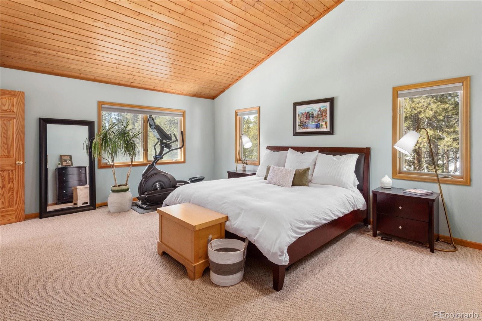 MLS Image #30 for 344  baby doe drive,leadville, Colorado