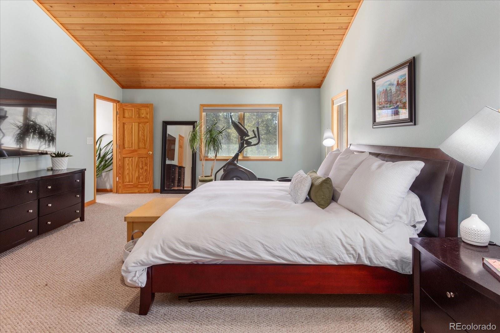 MLS Image #31 for 344  baby doe drive,leadville, Colorado