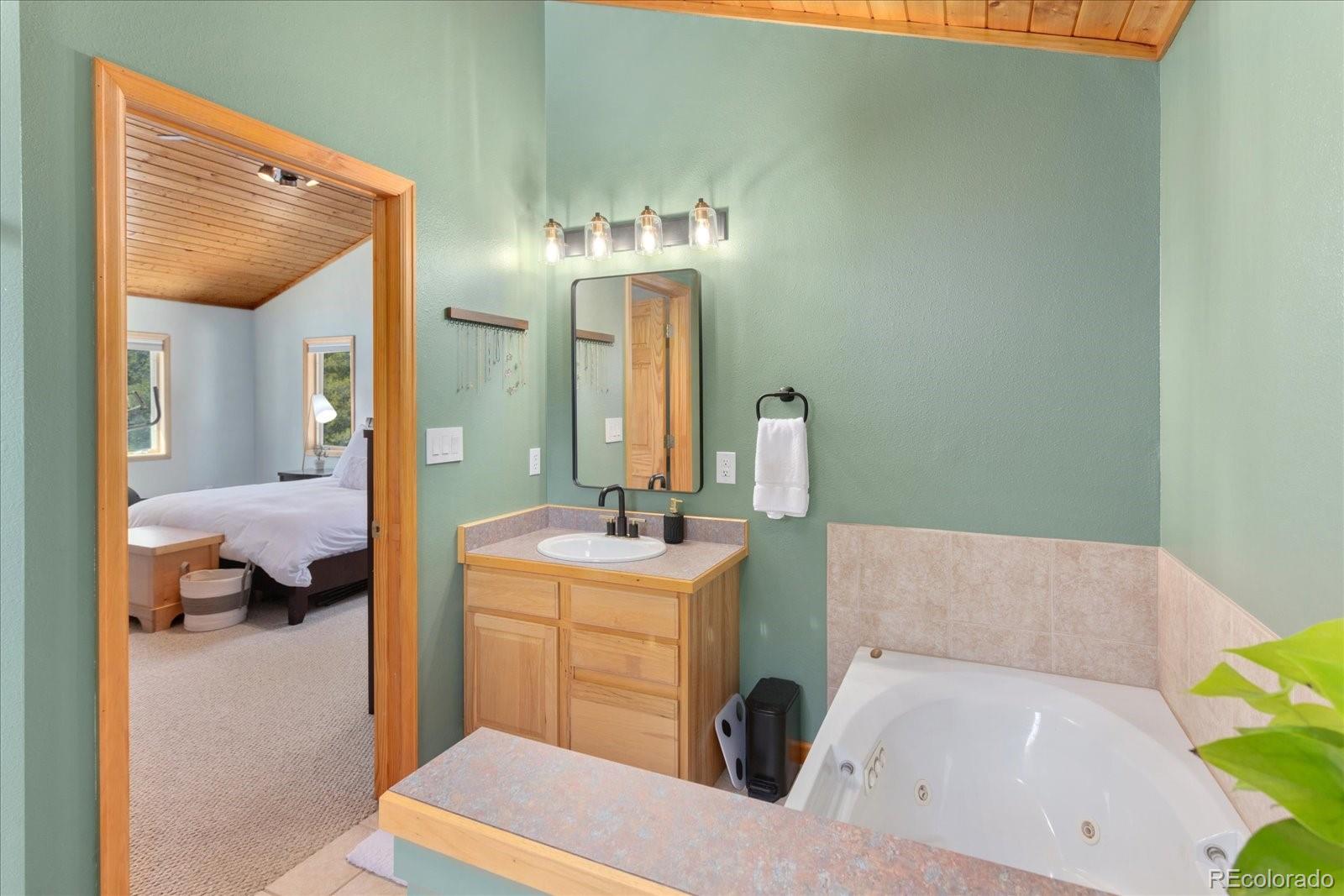 MLS Image #32 for 344  baby doe drive,leadville, Colorado