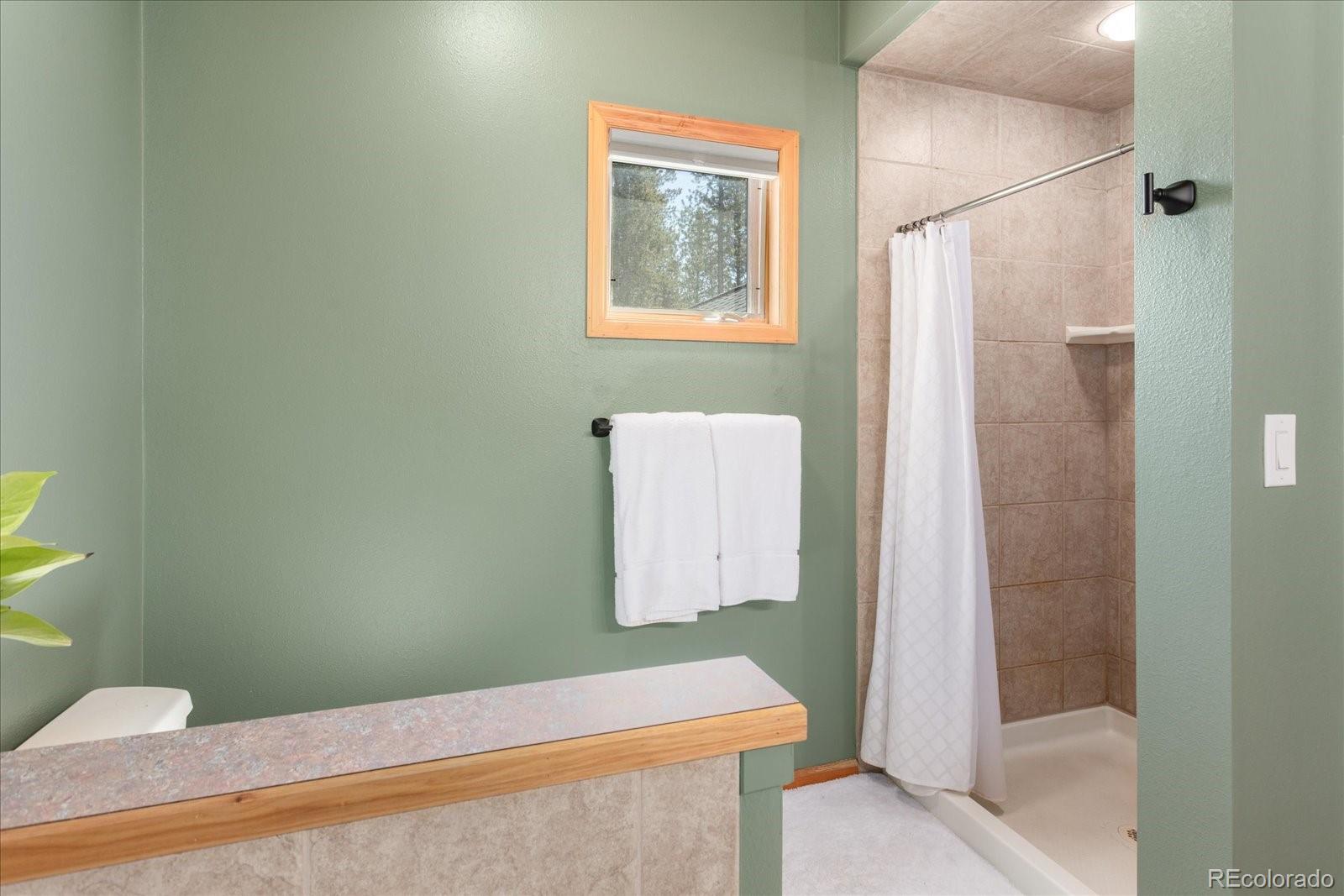 MLS Image #34 for 344  baby doe drive,leadville, Colorado