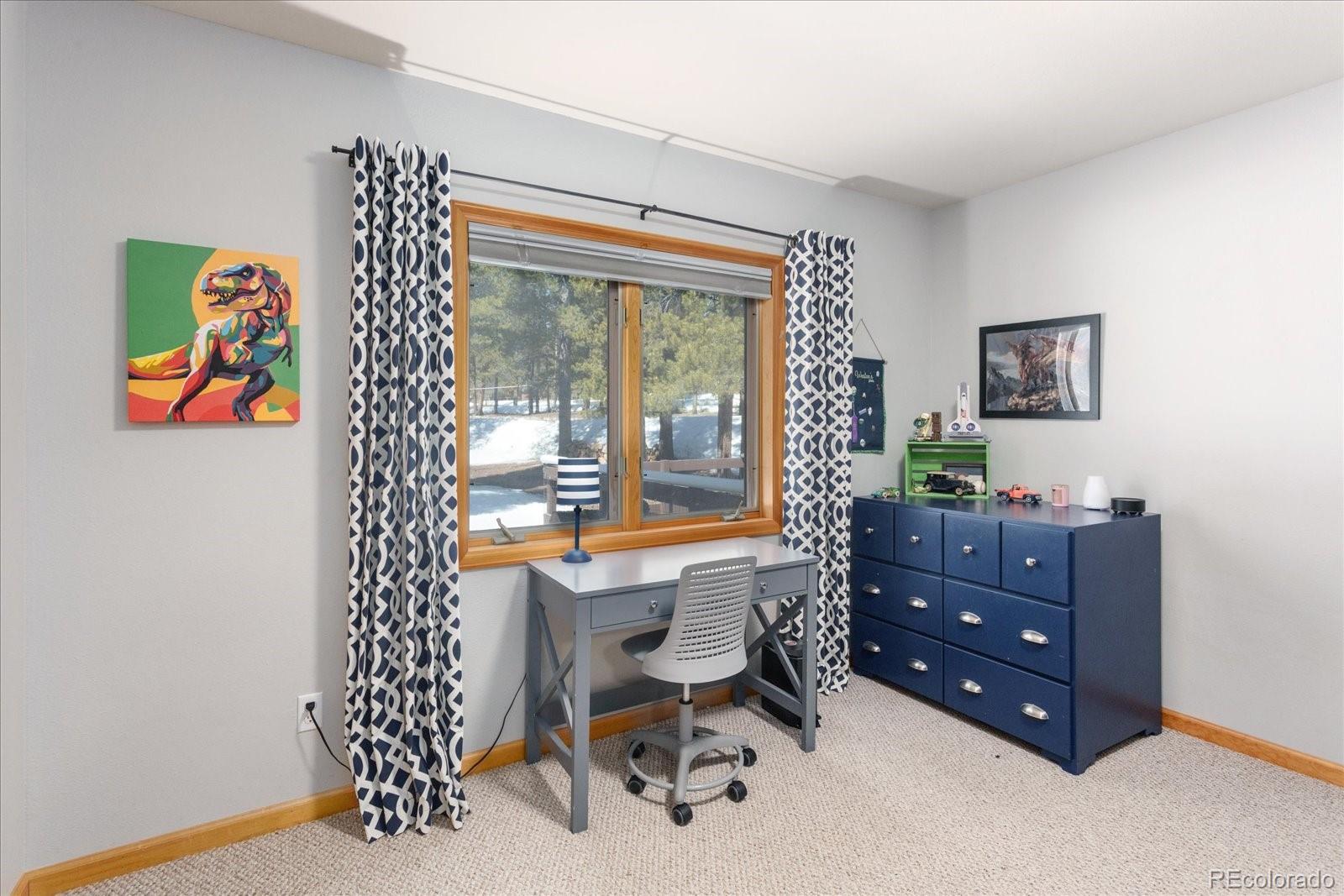 MLS Image #39 for 344  baby doe drive,leadville, Colorado