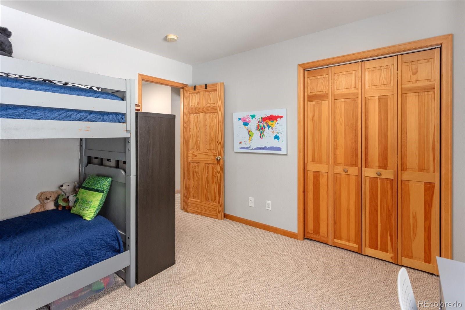 MLS Image #41 for 344  baby doe drive,leadville, Colorado