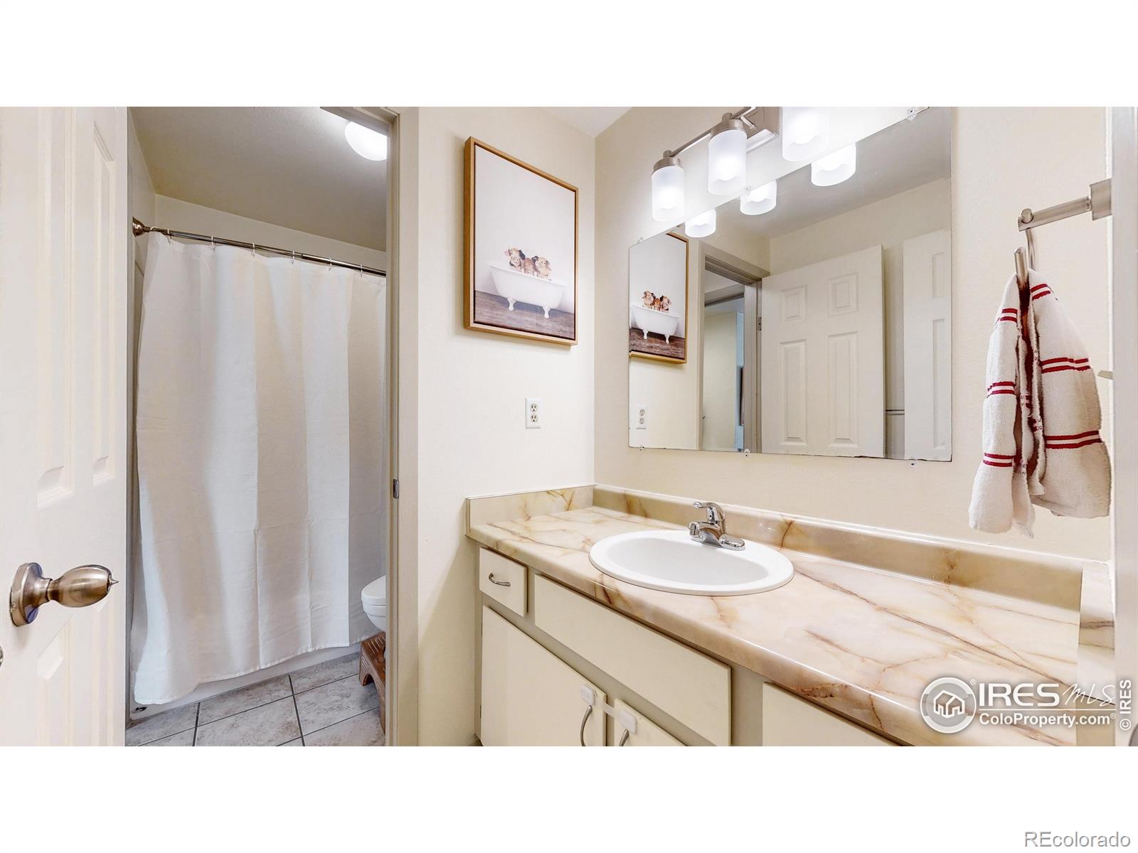 MLS Image #14 for 925  columbia road,fort collins, Colorado