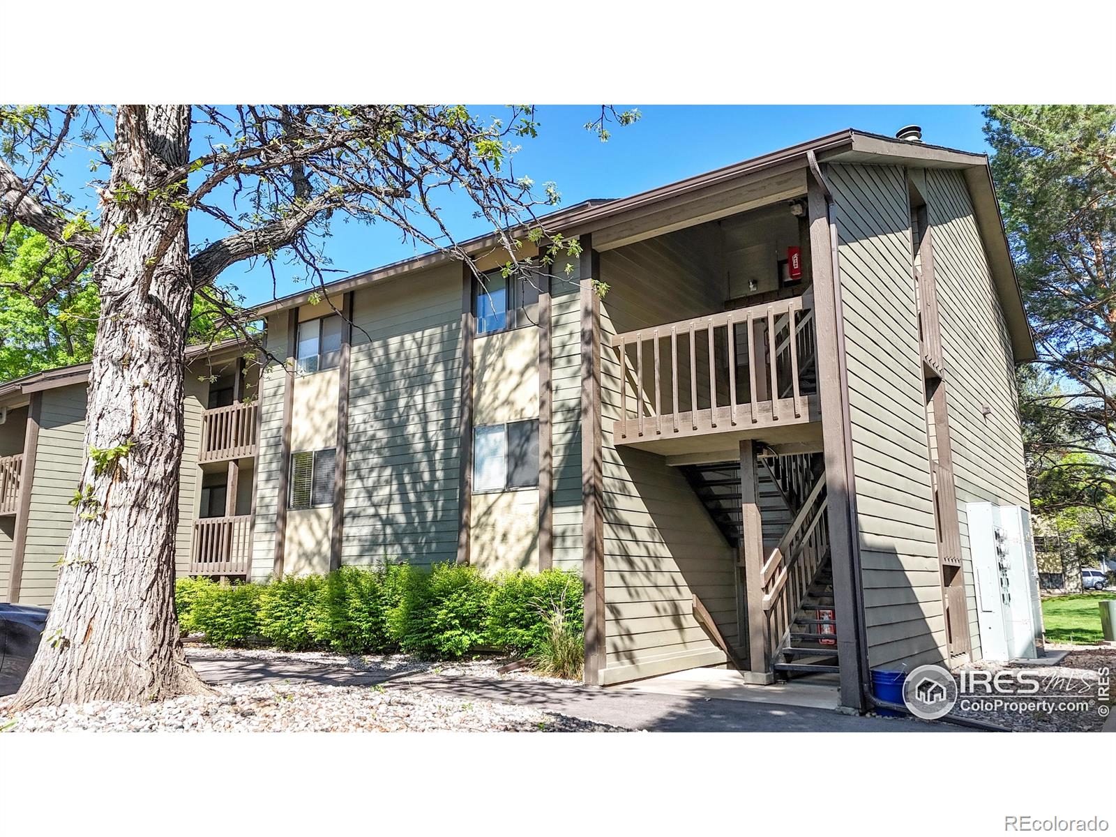 MLS Image #2 for 925  columbia road,fort collins, Colorado