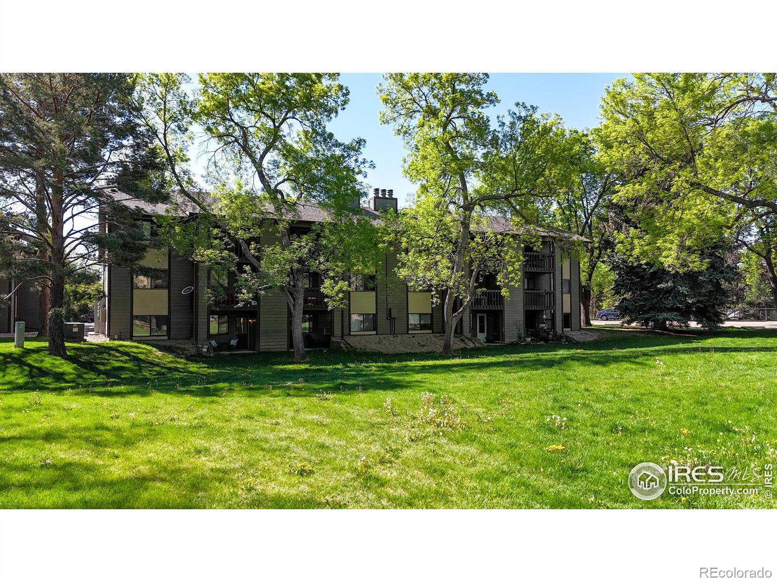 MLS Image #20 for 925  columbia road,fort collins, Colorado