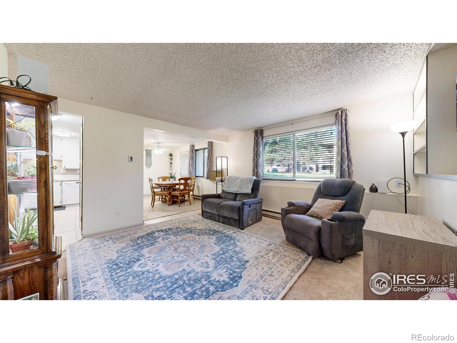 MLS Image #9 for 925  columbia road,fort collins, Colorado