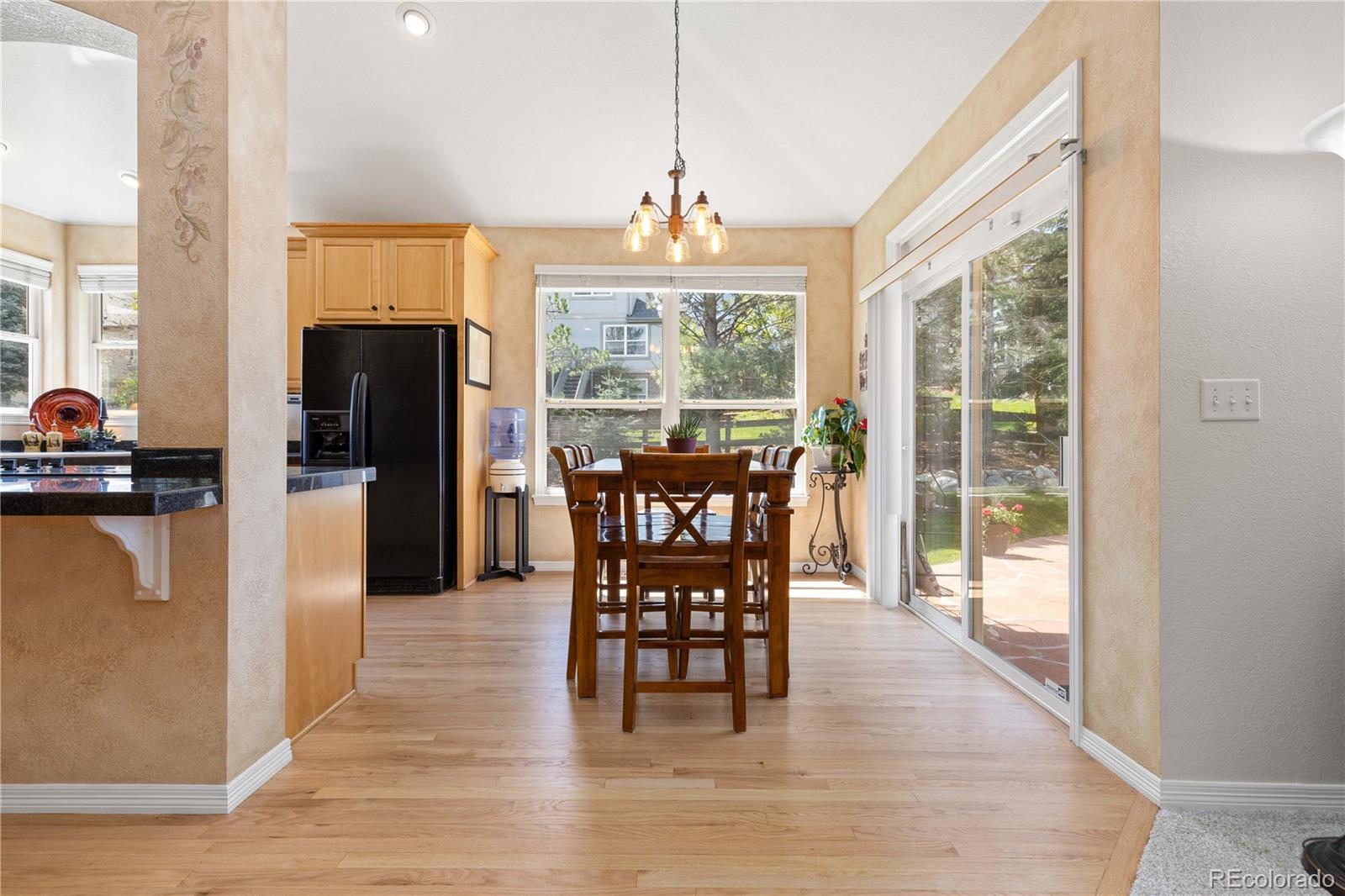 MLS Image #18 for 556  rachael place,castle pines, Colorado
