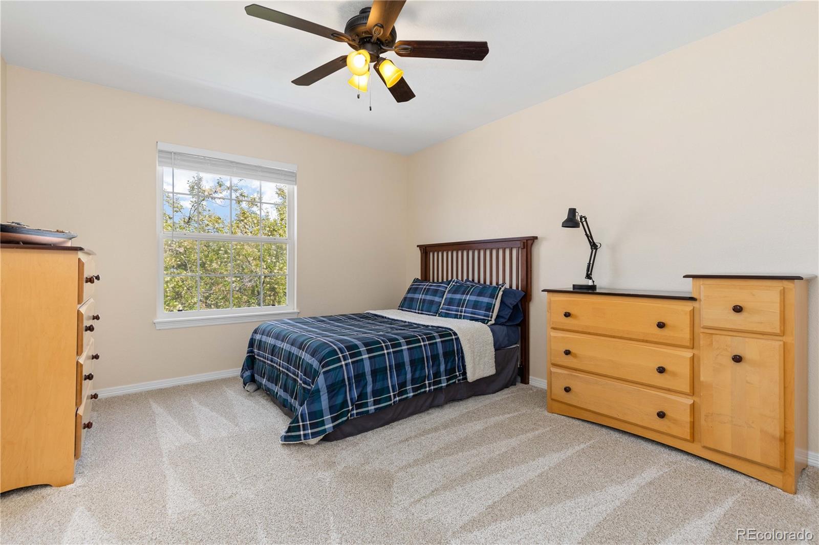 MLS Image #25 for 556  rachael place,castle pines, Colorado