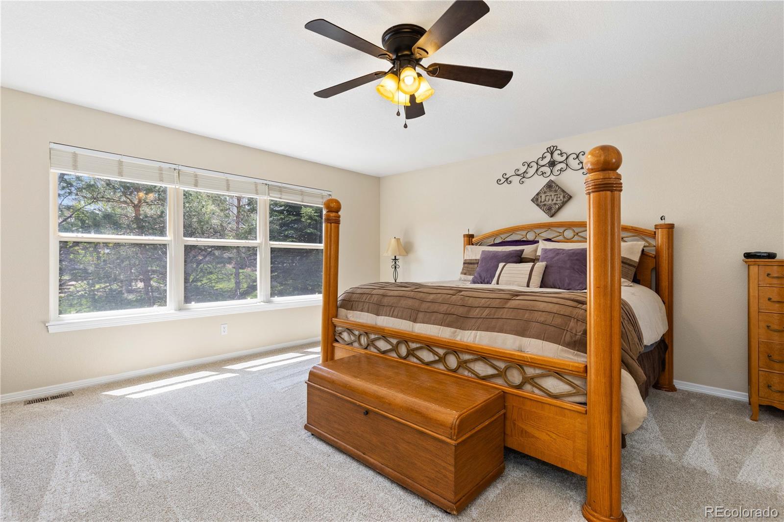 MLS Image #30 for 556  rachael place,castle pines, Colorado