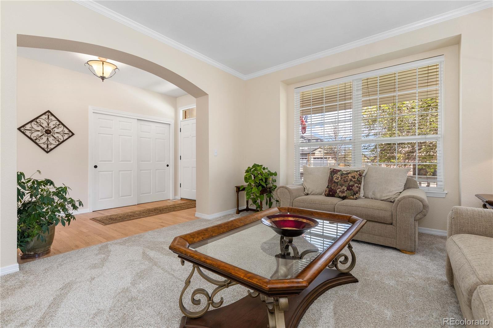 MLS Image #5 for 556  rachael place,castle pines, Colorado