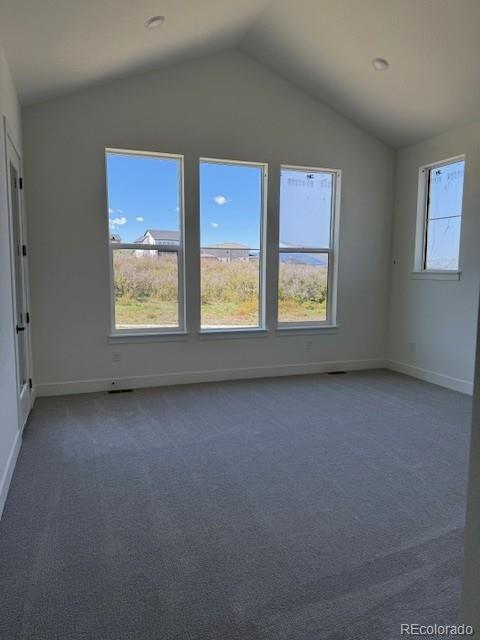 MLS Image #10 for 901  coal bank trail,castle rock, Colorado