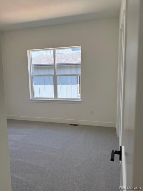 MLS Image #16 for 901  coal bank trail,castle rock, Colorado