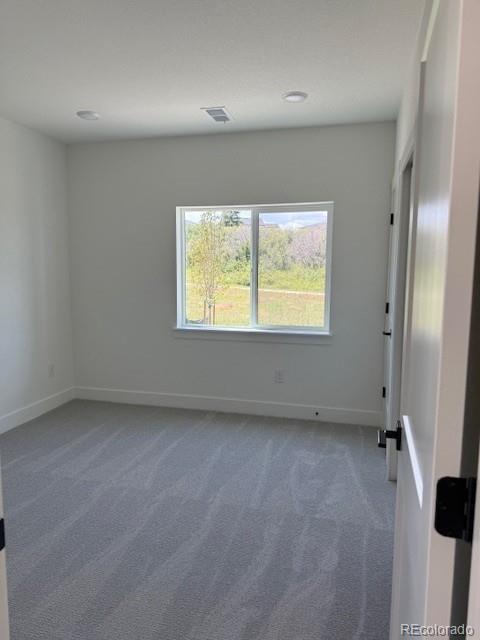 MLS Image #20 for 901  coal bank trail,castle rock, Colorado