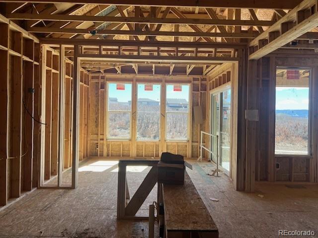 MLS Image #6 for 901  coal bank trail,castle rock, Colorado