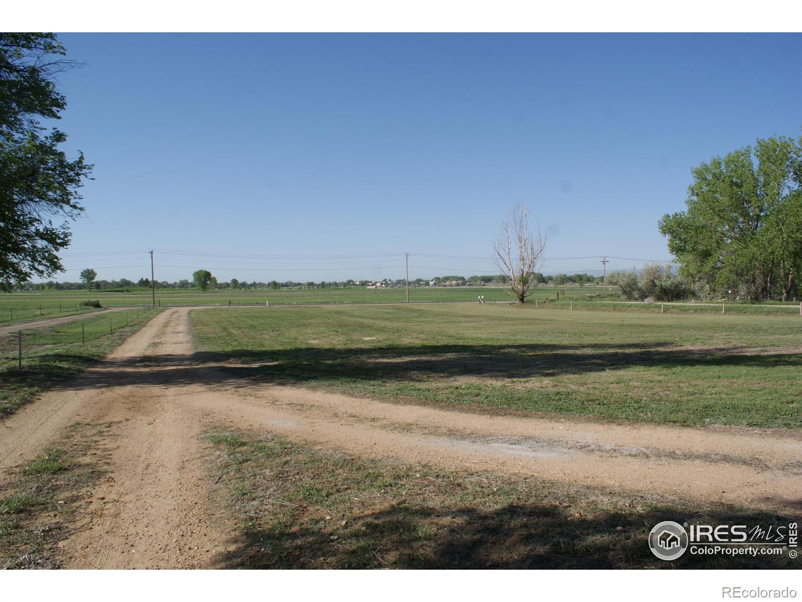 MLS Image #11 for 6363  county road 20 ,longmont, Colorado