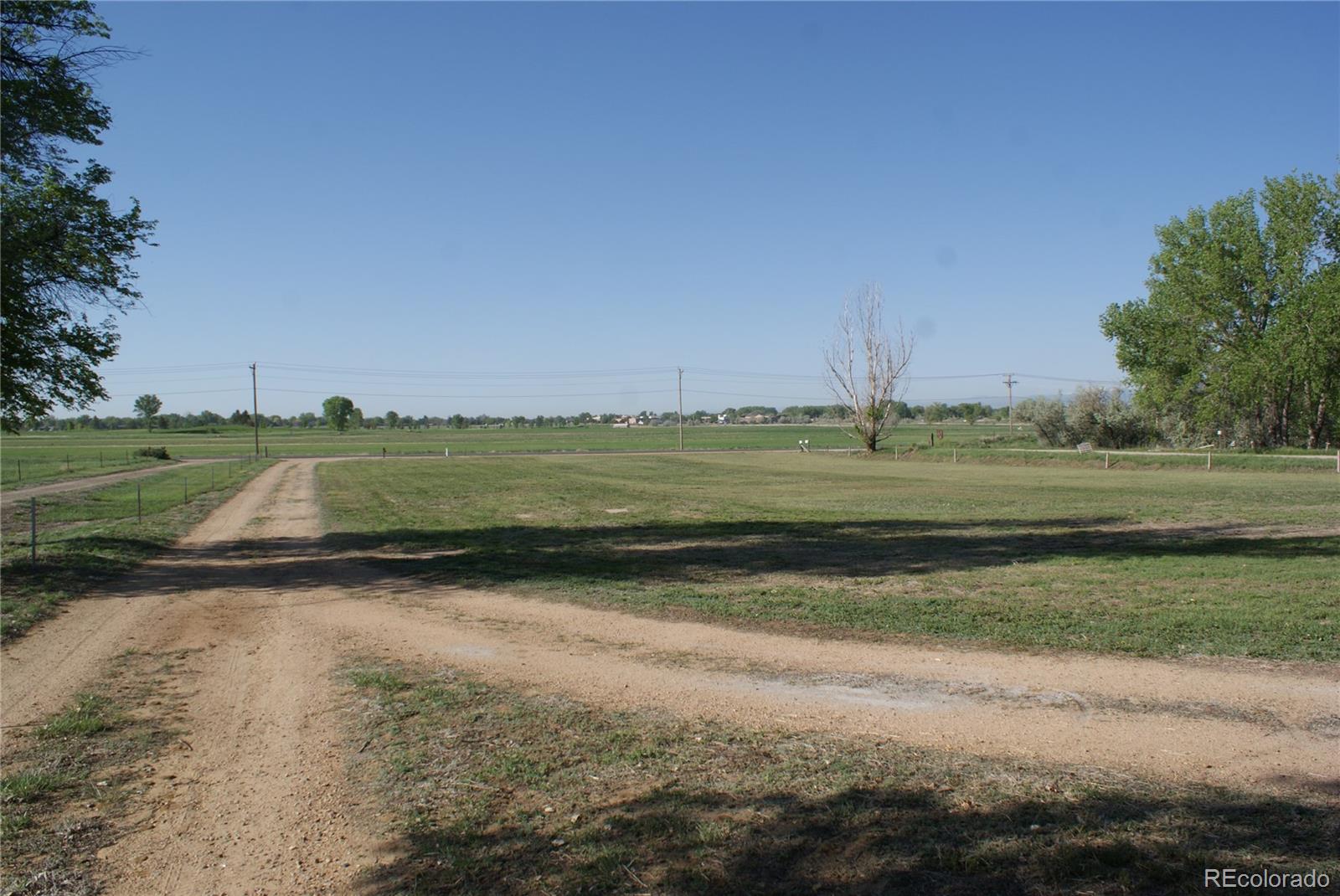 MLS Image #12 for 6363  county road 20 ,longmont, Colorado