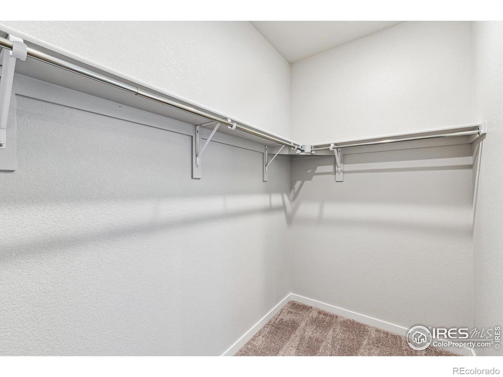 MLS Image #19 for 4434  trader street,timnath, Colorado