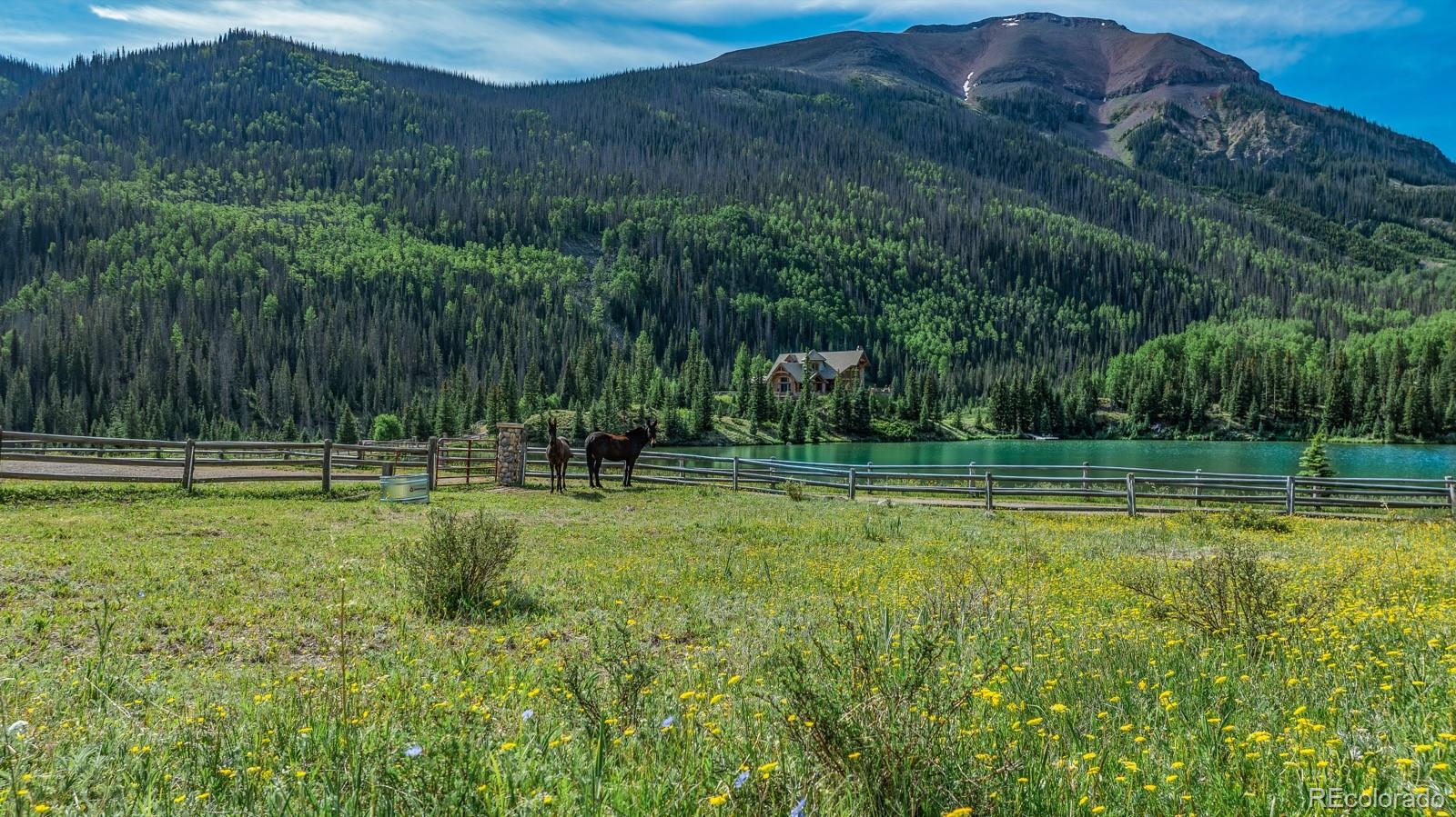 MLS Image #40 for 2418  forest rd 526 ,creede, Colorado