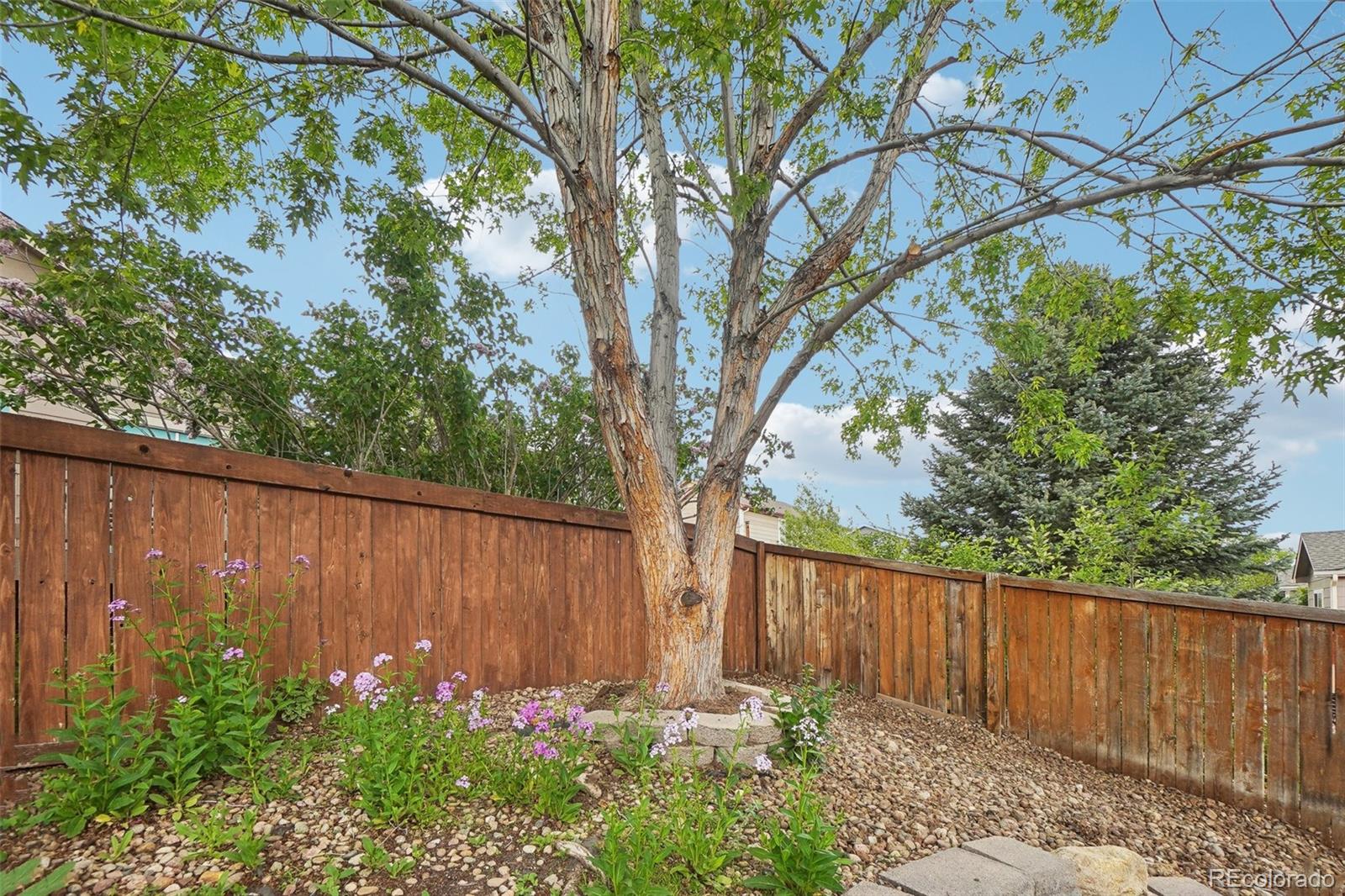 MLS Image #41 for 12753  buckhorn creek street,parker, Colorado