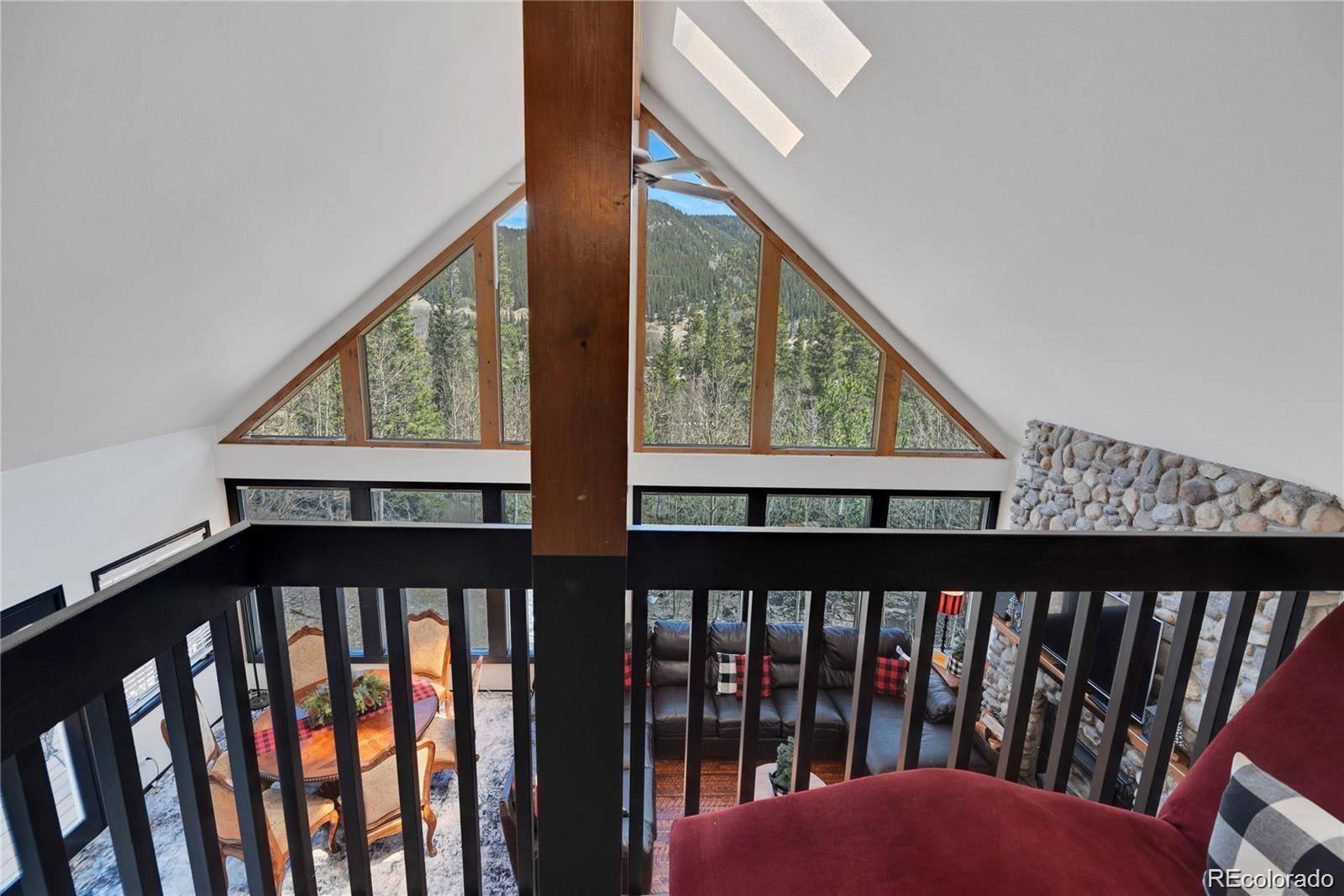 MLS Image #10 for 496  quartzville road,alma, Colorado