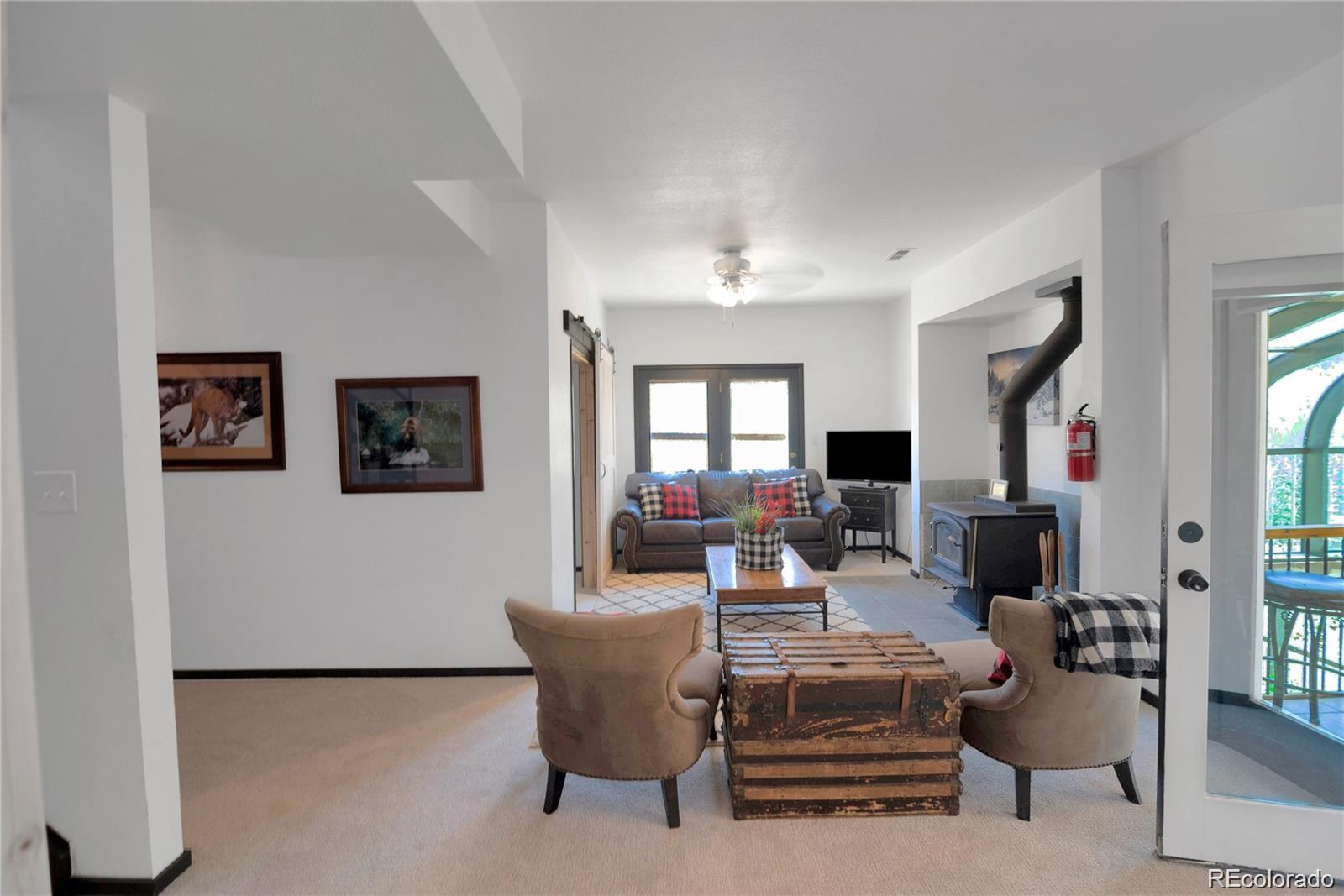 MLS Image #12 for 496  quartzville road,alma, Colorado