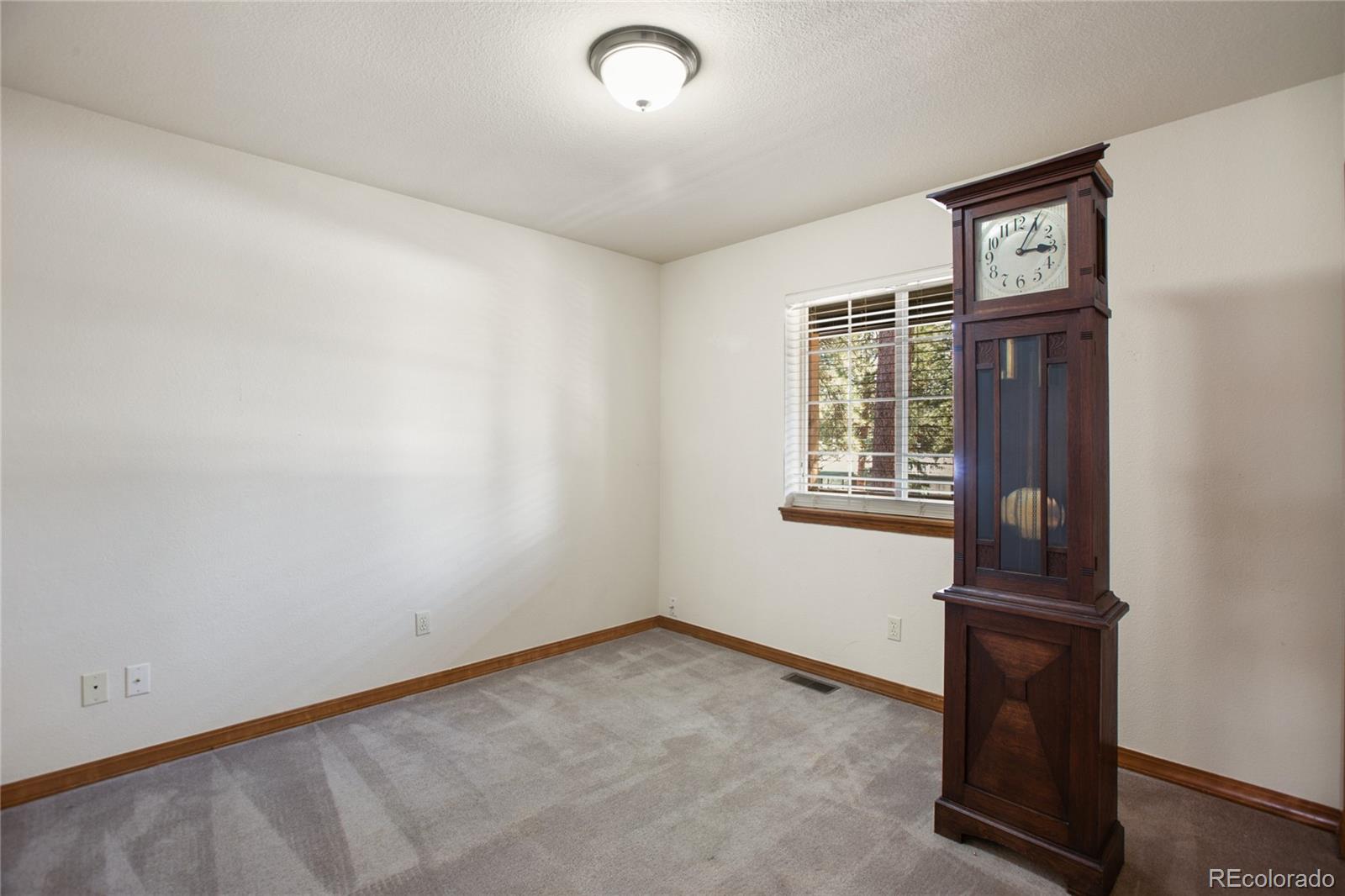 MLS Image #21 for 310  evergreen street,woodland park, Colorado