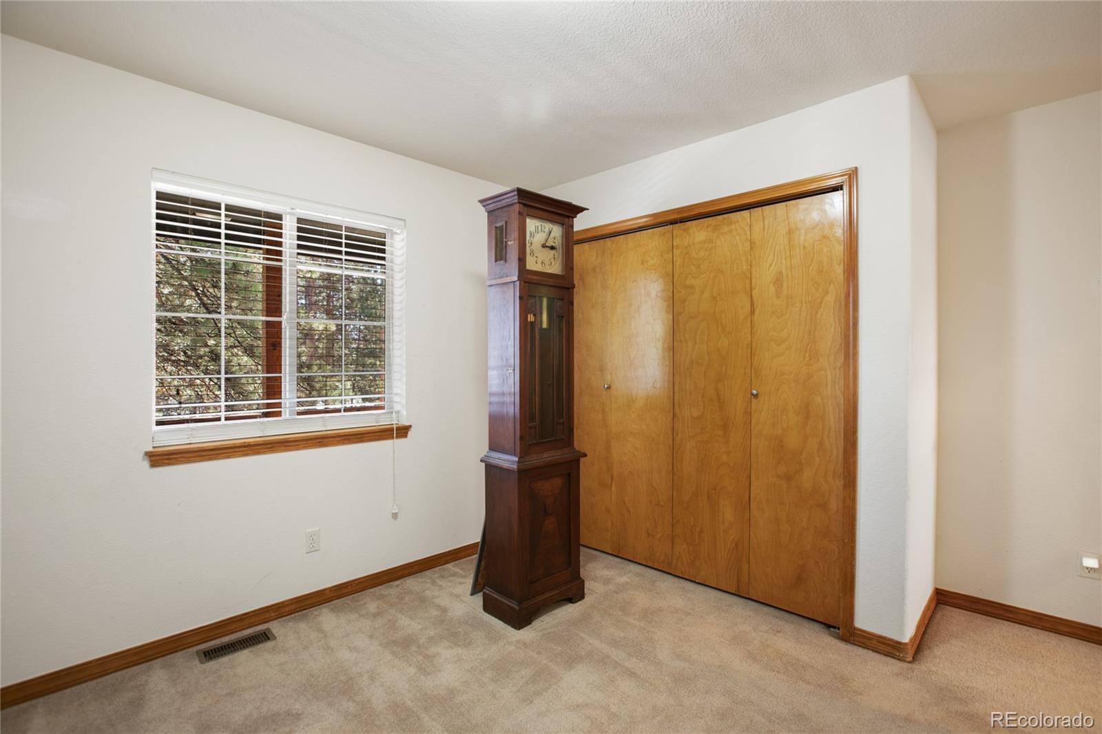 MLS Image #22 for 310  evergreen street,woodland park, Colorado