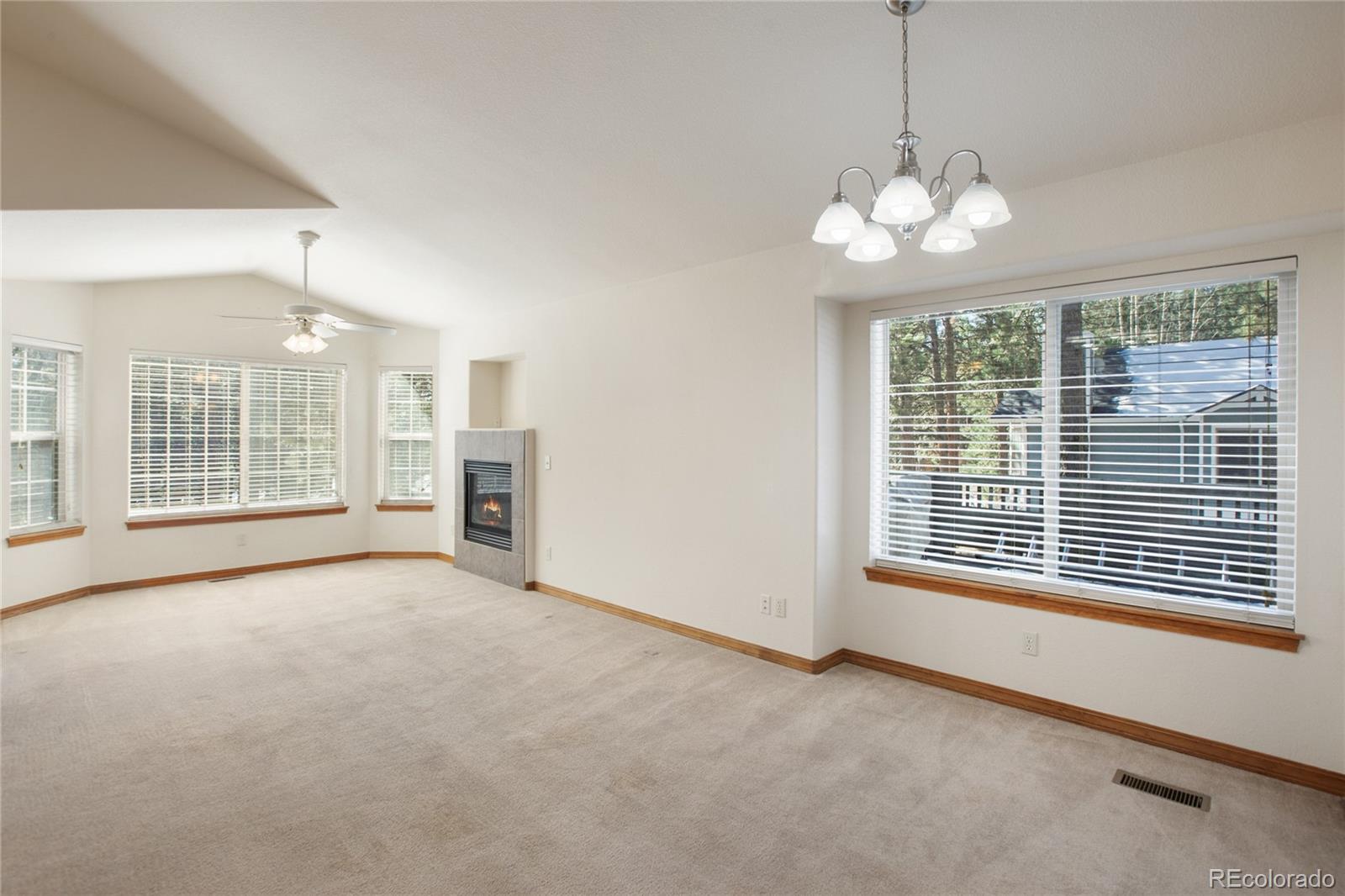 MLS Image #6 for 310  evergreen street,woodland park, Colorado